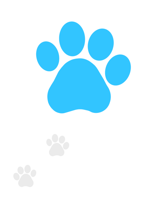 Generate Strong Passwords Online